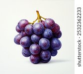 A cluster of fresh purple grapes against a plain background.