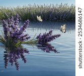 A cluster of lavender blooms in a soft, fragrant sea of purple, stretching gently toward the sky. The slender, silvery-green stems sway in the breeze, topped with delicate, violet blossoms that rise i