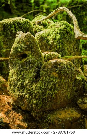 Cluster of moss-covered rocks creating a distinctive natural formation in Puzzle wood forest, Wales.