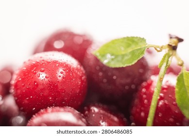 Cluster of red cherries with a dusting of white sugar, sweet fru