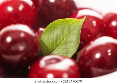 Cluster of red cherries with a dusting of white sugar, sweet fru