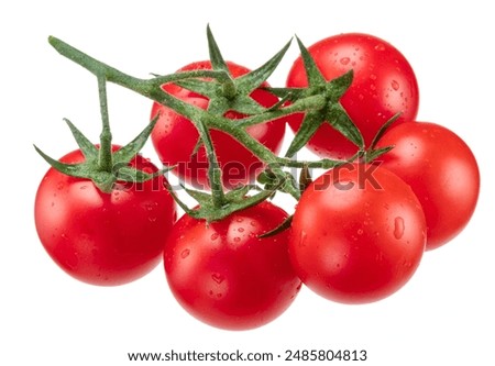 Cluster of ripe cherry tomatoes covered with water drops isolated on white background.