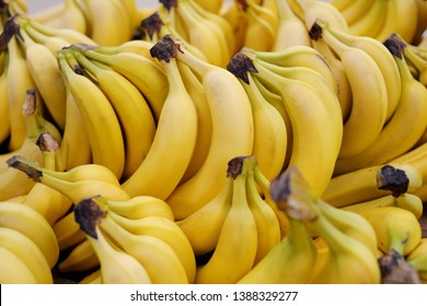 Clusters of yellow ripe bananas in a store laid out in rows in close-up - Powered by Shutterstock