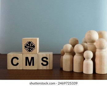 CMS content management system concept CMS software management for data management and optimization concepts to reach customers. Marketing strategy