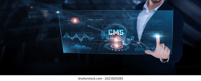 CMS (Content Management Systems): content creation, SEO strategy, workflow automation, content delivery, platform integration. Businessman analyzing CMS progress chart on digital interface.