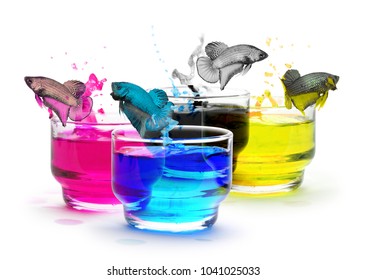 CMYK Color, Concept Design By Jumping Fighting Fish Animal.