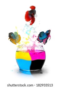 CMYK Color, Concept Design By Jumping Fighting Fish Animal.