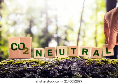 CO2 carbon neutral emission stamp and stamping hand. cubes in the forest on natural stone. climate change, green fuel and earth protect concept. - Shutterstock ID 2140052899