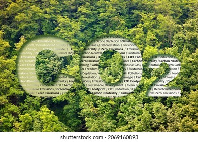 CO2 Net-Zero Emission - Carbon Neutrality concept against a forest with keywords - Shutterstock ID 2069160893