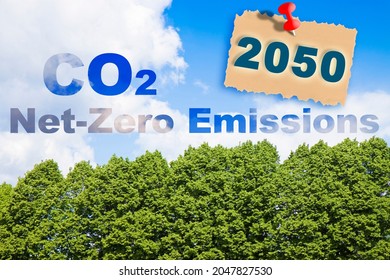 CO2 Net-Zero Emission concept against a forest - Carbon Neutrality concept - 2050 According to European law 