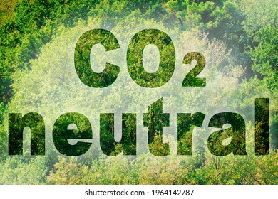 CO2 Neutral text - concept image against a forest backgound.