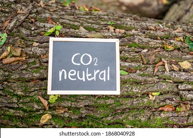 'CO2 neutral' written on a board on a tree trunk - carbon neutrality concept.