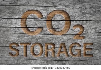 Co2 Storage Text In Wood Natural Storage Of Carbon Dioxide Emiss