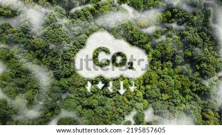 CO2 white fog, concept showing the problem of carbon dioxide and CO2 emissions for the environment, global warming, sustainable development. and green business from renewable energy