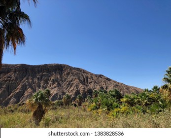 Coachella Valley In The Afternoon Light