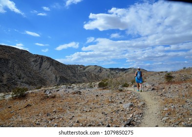 Coachella Valley Preserve  10 Miles East Of Palm Springs