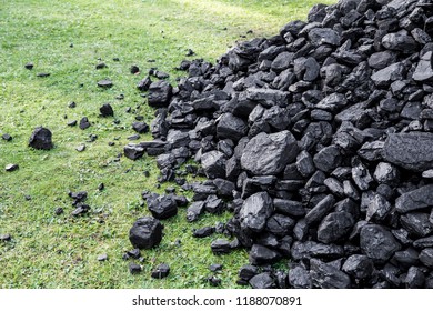 Coal Is A Combustible Black Or Brownish-black Sedimentary Rock. Pit Coal Is Extracted From Earth. Pieces Of Coal Fallen On Green Grass Garden.