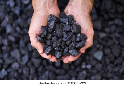 Coal grains in man coal miner's hands over a pile, closeup. Coal house heating and home heating energy. Mining industry and environment protection.  Coal air polution. Closeup - Shutterstock ID 2190333003
