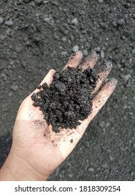Coal in hand of a man - Karachi Pakistan - Sep 2020