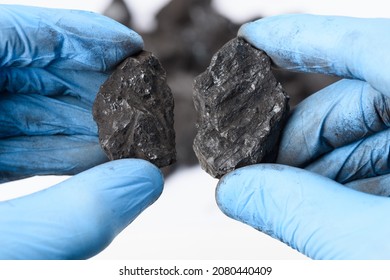 Coal Lumps In Scientist Hands. Fossil Fuel Energy Research Concept.