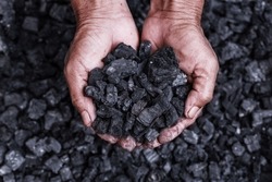 Exploatarea Cărbunelui: Miner De Cărbune în Mâinile Omului De Fond De Cărbune. Idee De Imagine Despre Mineritul Cărbunelui Sau Sursa De Energie, Protecția Mediului. Cărbuni Industriali. Stâncă Vulcanică.