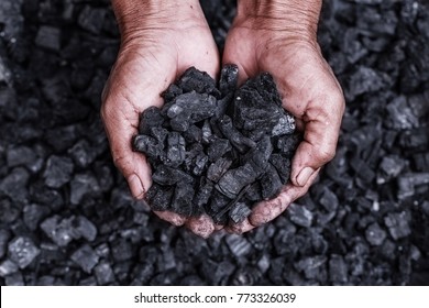 Kohlebergbau: Kohlebergwerk in den Händen von Kohlehintergrund. Stellen Sie sich eine Idee über Kohlebergbau oder Energiequelle, Umweltschutz vor. Industriekohlen. Vulkangestein.