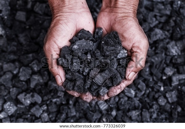 Coal mining : coal miner\
in the man hands of coal background. Picture idea about coal mining\
or energy source, environment protection. Industrial coals.\
Volcanic rock.