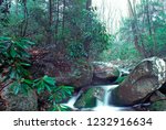 Coal Run, Otter Creek Wilderness, Rhododendron, Tucker County, West Virginia, USA