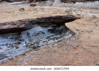 Coal Seams In Irwin River Riverbank In Victoria Plateau Near Mingenew Western Australia. No People. Copy Space