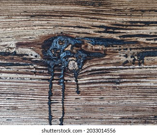 Coal Tar Treated Wooden Plank Showing Weathering.