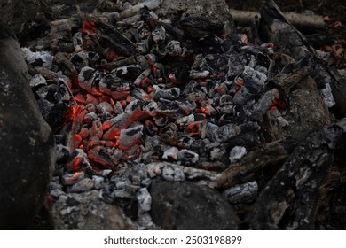 Coals in the fire. Hot coals. Details of a campfire in the woods. Stones around a campfire. - Powered by Shutterstock