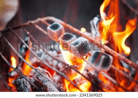 Coals for hookah are heated on an iron grate on a fire.  Hookah in the country.  Rest outside the city