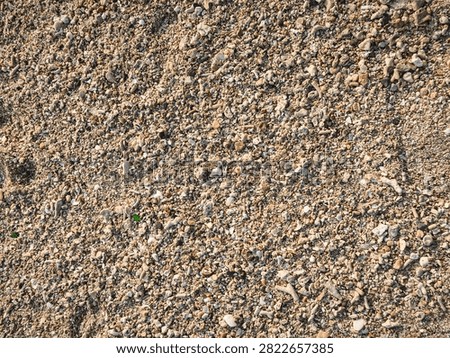 Coarse beach sand texture with broken coral shells and small pebbles top view background