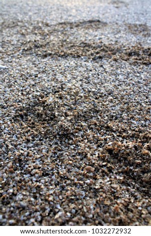 aground Baltic beach