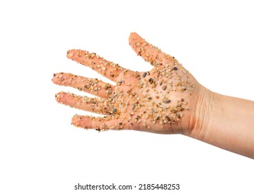 Coarse Sand On Hands Isolated. Water Filter Fine Gravel Handful, Grit Sand For Pool Filtration, Small Rock Texture On White Background