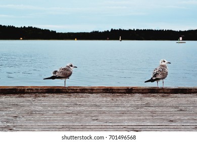 Coast