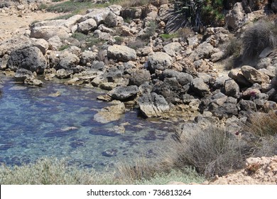 
coast
