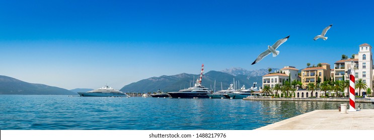 Coast of the Adriatic Sea with luxury yachts moored at pier of the Tivat resort - panoramic seascape of Montenegro. Popular sea vacations and marine holidays on the Balkans for rich tourist.