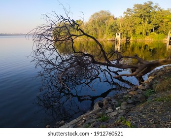 Coast Of Ambazari Lake, Nagpur