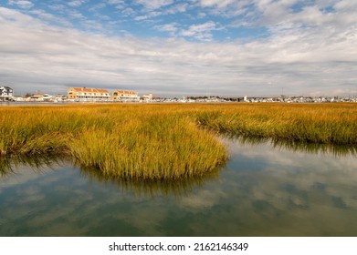 Coast Of Cape May, New Jersey