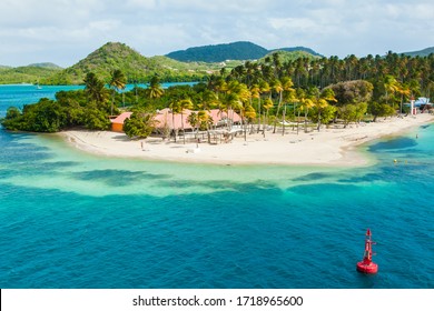The coast of the Caribbean island of Martinique French Polynesia. Beaches with turquoise water and palm trees.