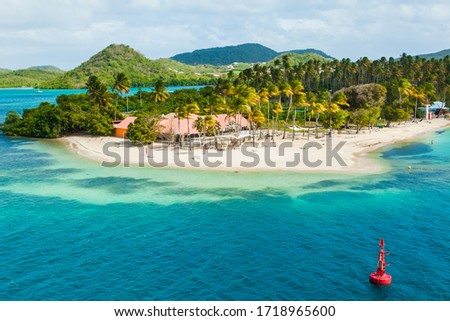 The coast of the Caribbean island of Martinique French Polynesia. Beaches with turquoise water and palm trees.