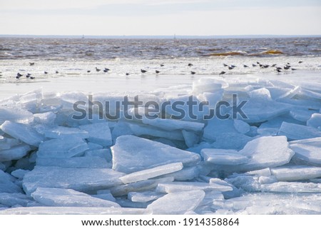The coast of Finish bay in St. Petersburg fell of ice.