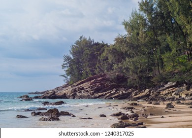 the coast and forest