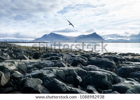 Similar – Image, Stock Photo Midnight mood at the polar sea, beach hiker