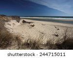 Coast Guard Beach, Cape Cod, Massachusetts, USA