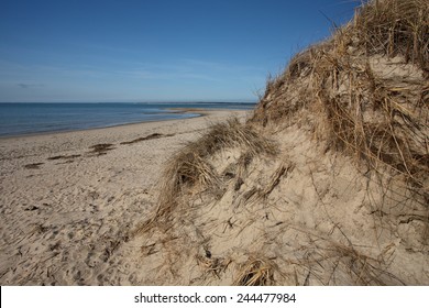 Coast Guard Beach At Cape Cod, Massachusetts, USA