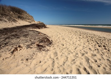 Coast Guard Beach At Cape Cod, Massachusetts, USA