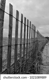 Coast Guard Beach Dune Fence, Cape Cod