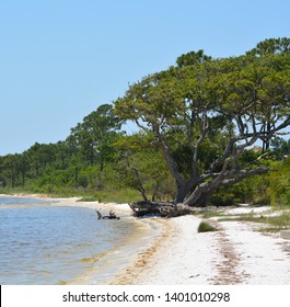 The Coast Of Gulf Breeze In Santa Rosa County Florida On The Gulf Of Mexico, USA